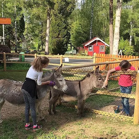 Vulkaneifel Type B غيرولشتاين