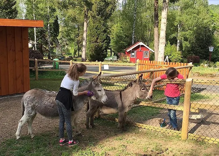 Vulkaneifel Type B Gerolstein